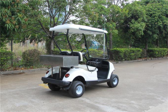 2 Person Mini Electric Golf Carts Motorised Golf Buggies With Cargo Box 0